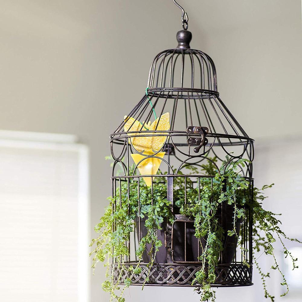 Insect Yellow Sticky Bug Traps For Outdoors