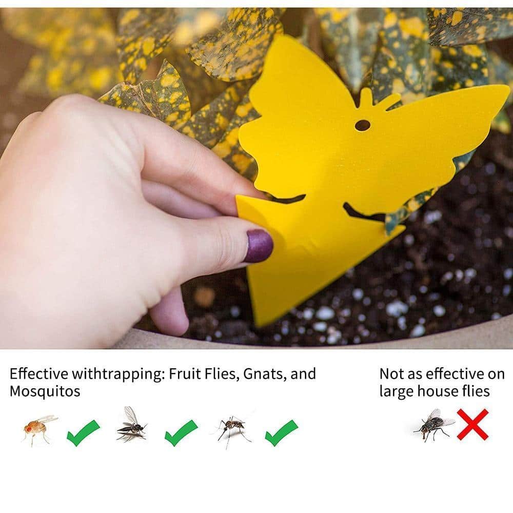 Insect Yellow Sticky Bug Traps For Outdoors