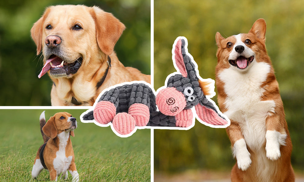 Sherum BiteBuddy Plush Toy for Dogs