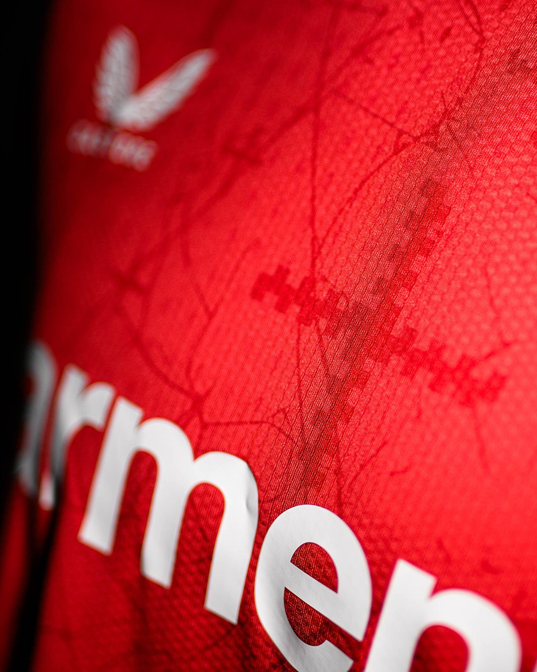 Maglia da casa del Bayer Leverkusen 2024/25