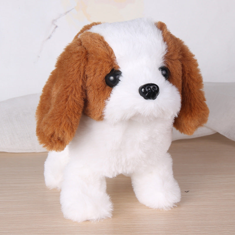 Lucky stuffed dog