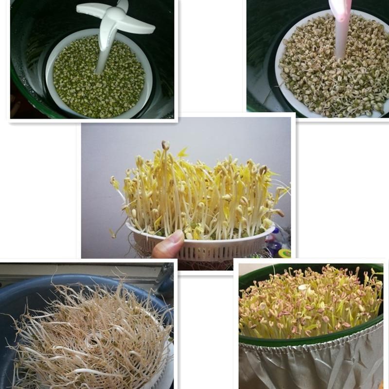 Automatic Sprout Machine