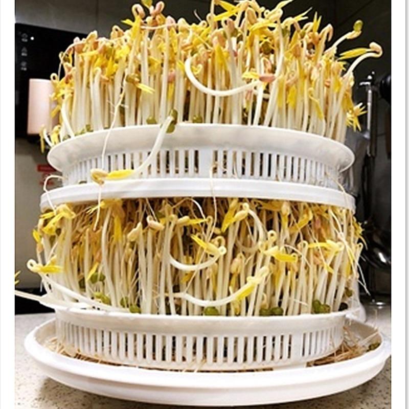 Automatic Sprout Machine