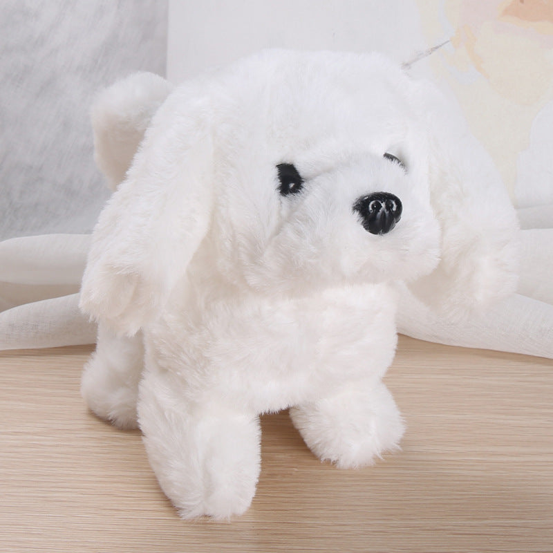 Lucky stuffed dog