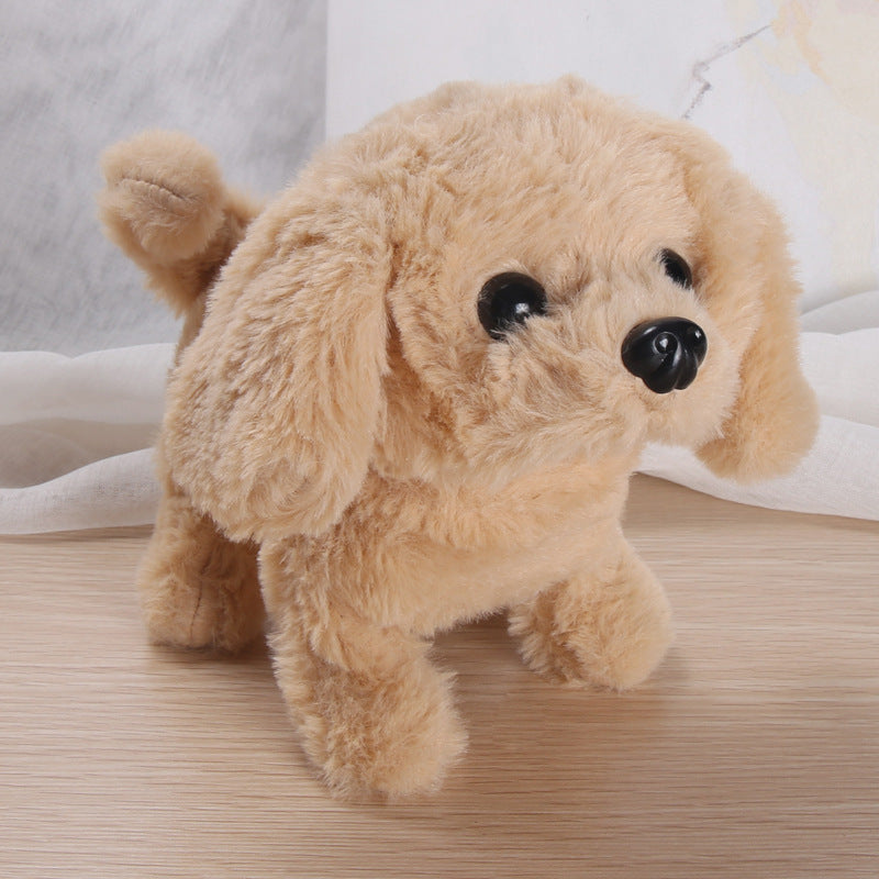 Lucky stuffed dog