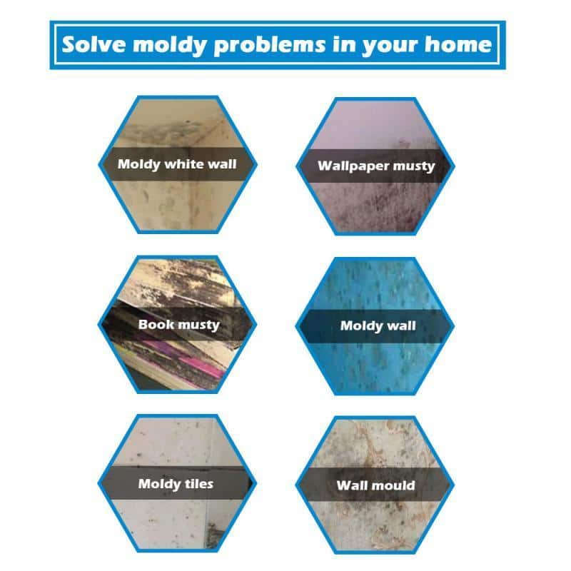 MoldOff Mildew Removal Spray