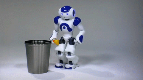 Educational Intelligent Robot