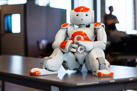 Educational Intelligent Robot