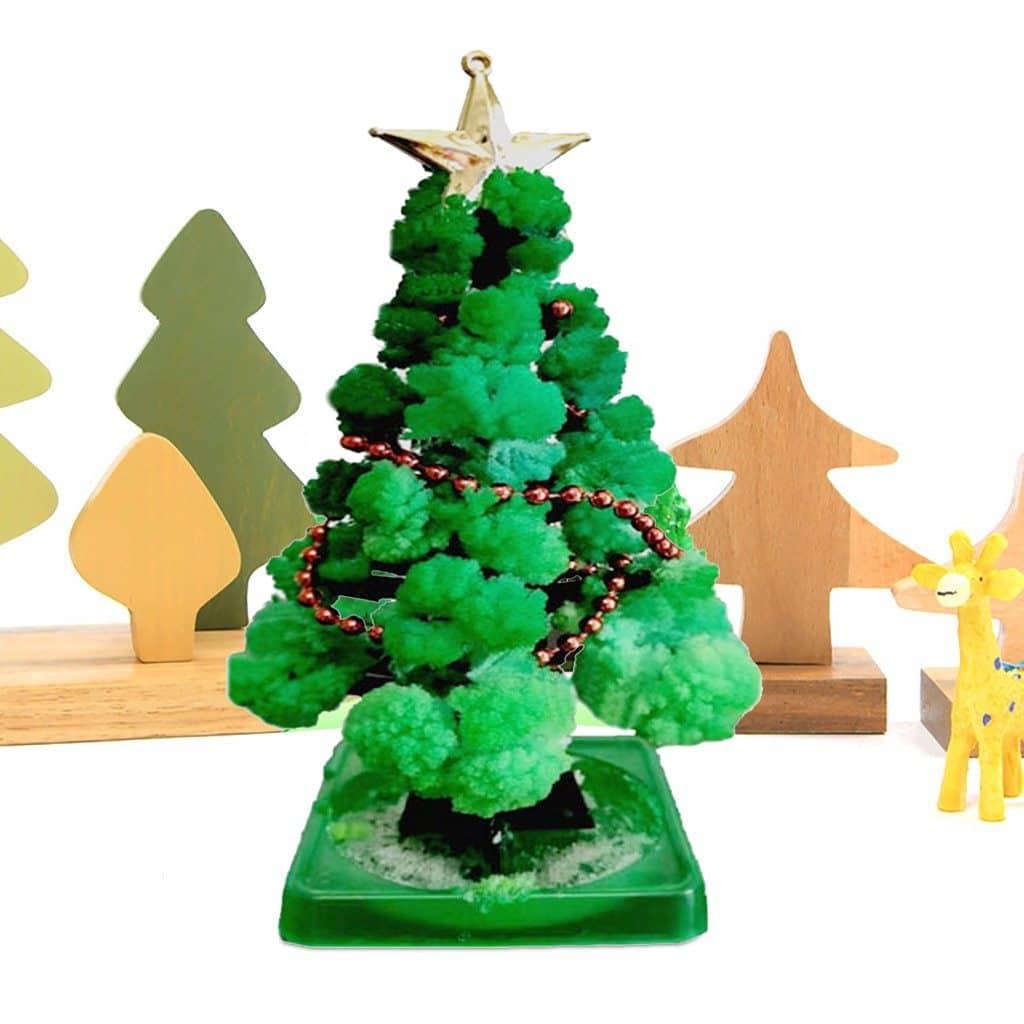 Miracle Growing Christmas Tree