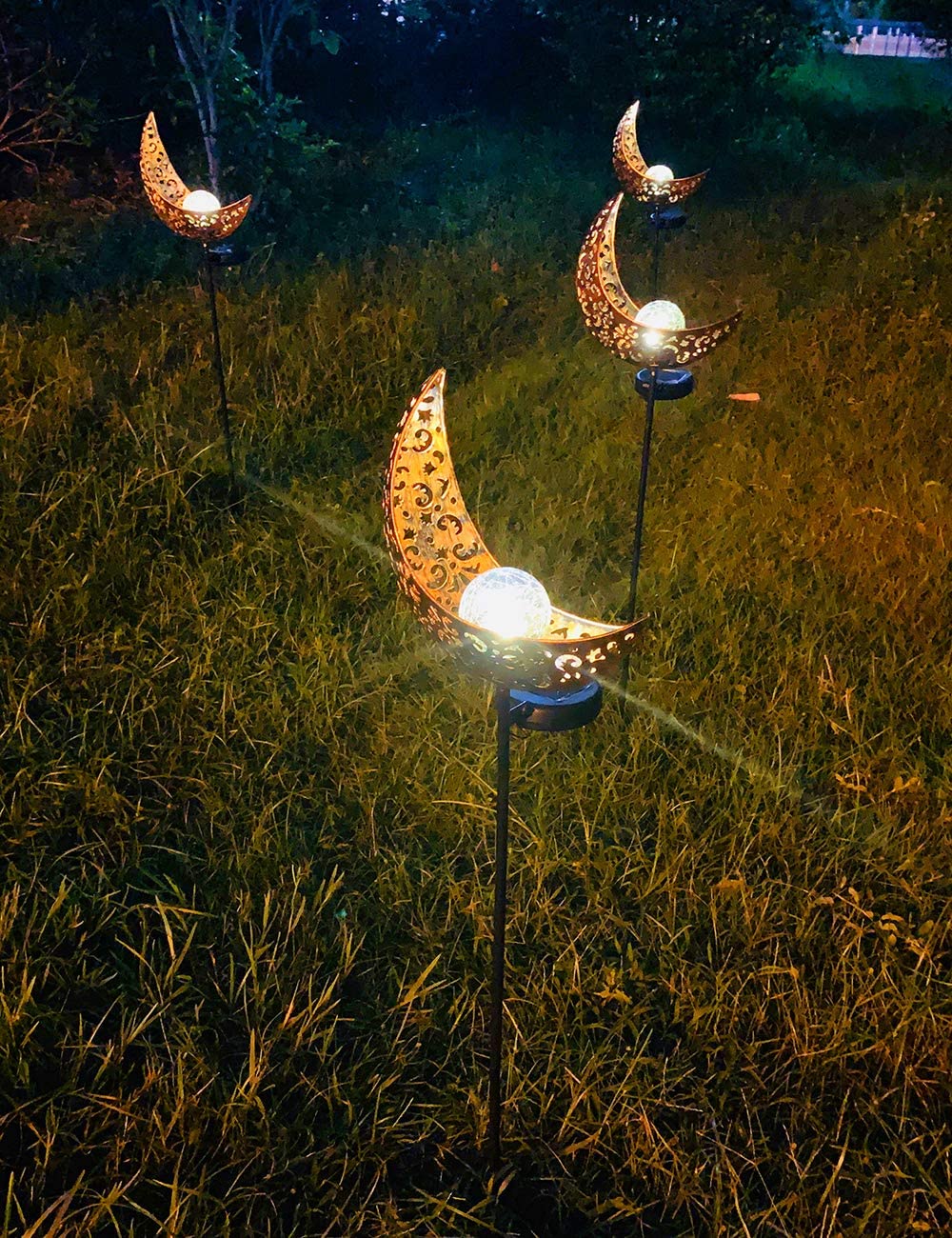 Lunar Garden Light