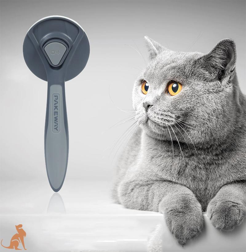 Self-cleaning brush for cats