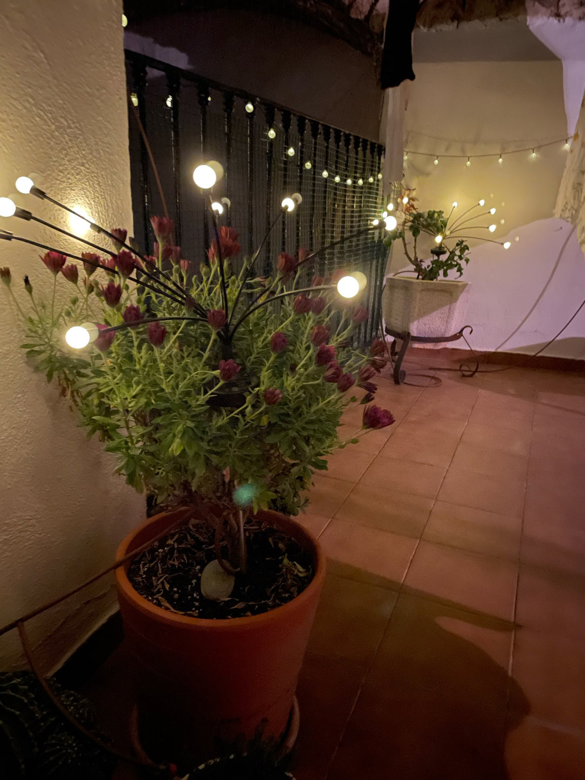 Solar Powered Firefly Lights