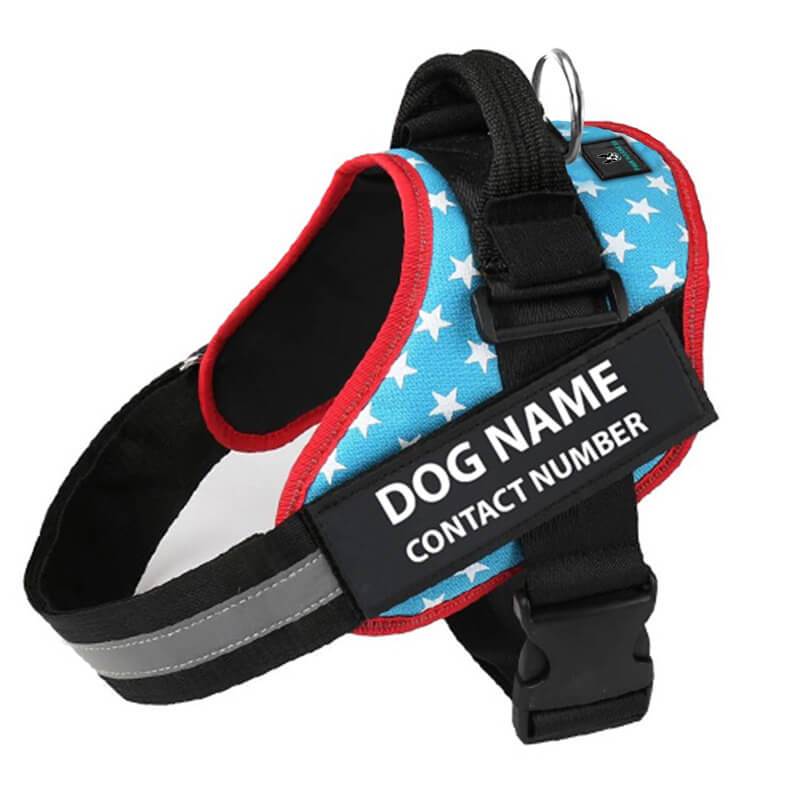 No-Pull Paw Harness