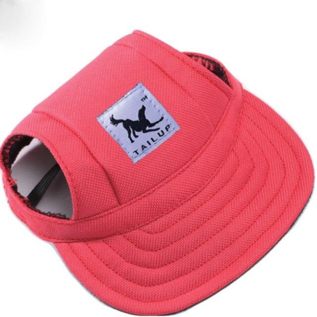 Cap with ear holes for dog