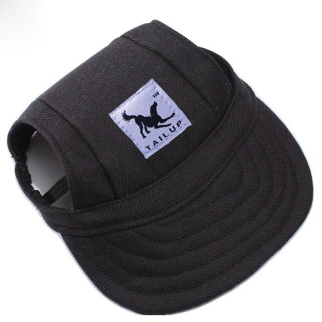 Cap with ear holes for dog