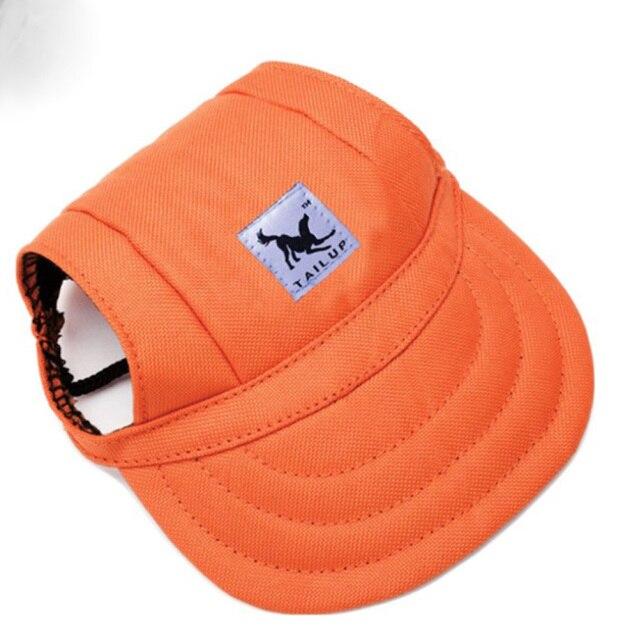 Cap with ear holes for dog