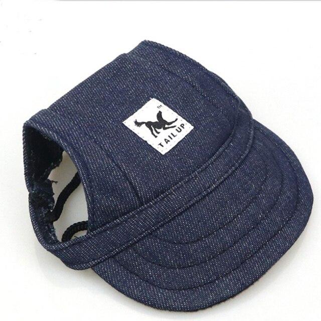 Cap with ear holes for dog