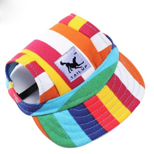 Cap with ear holes for dog
