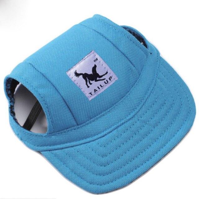Cap with ear holes for dog