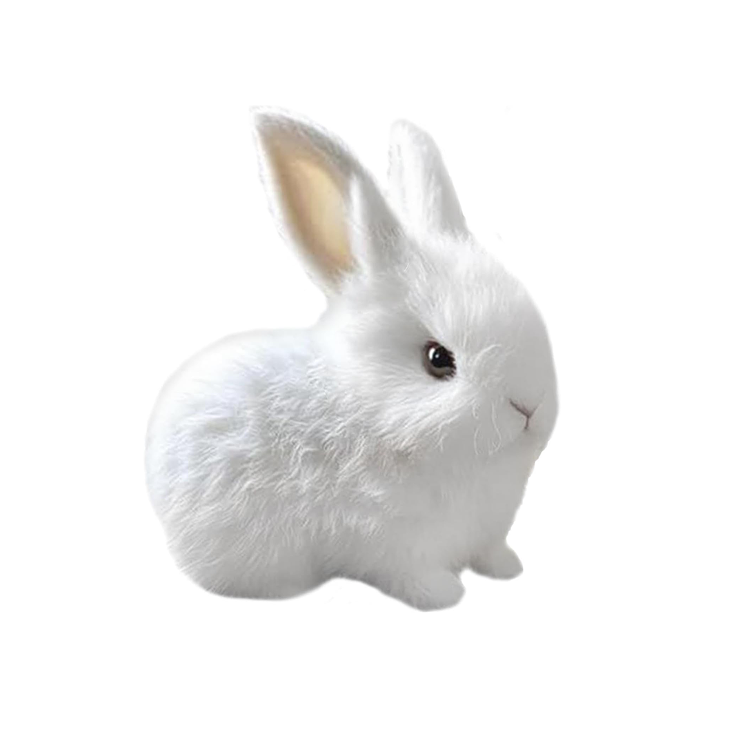 PetsBoro BunnyPal Rabbit Toys Miymo Fanyil