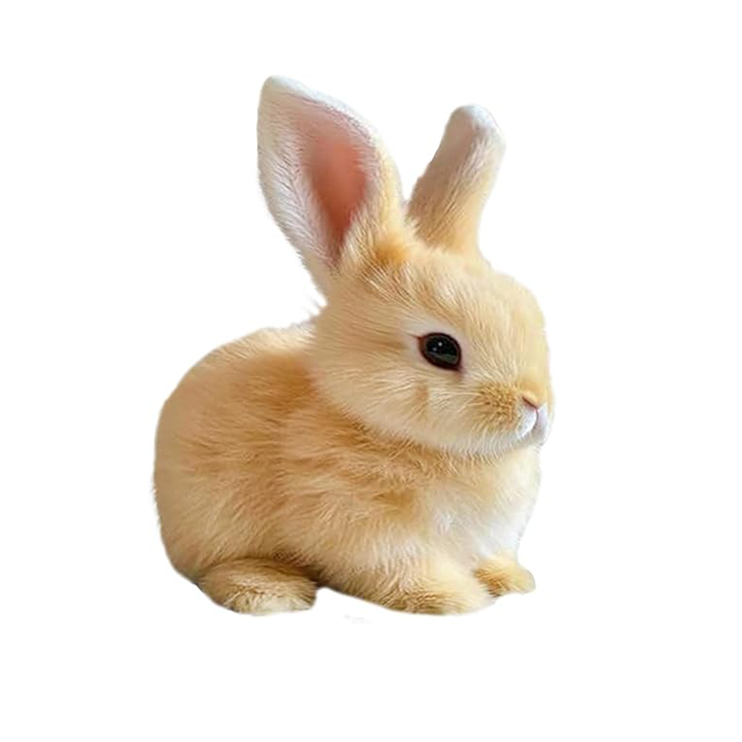 PetsBoro BunnyPal Rabbit Toys Miymo Fanyil