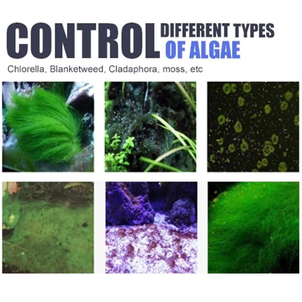Algae Repellent Agent