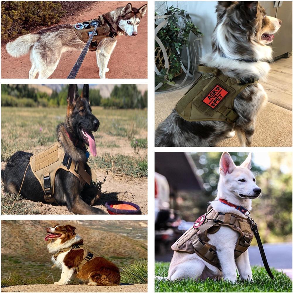 Tactical No Pull Dog Harness v2
