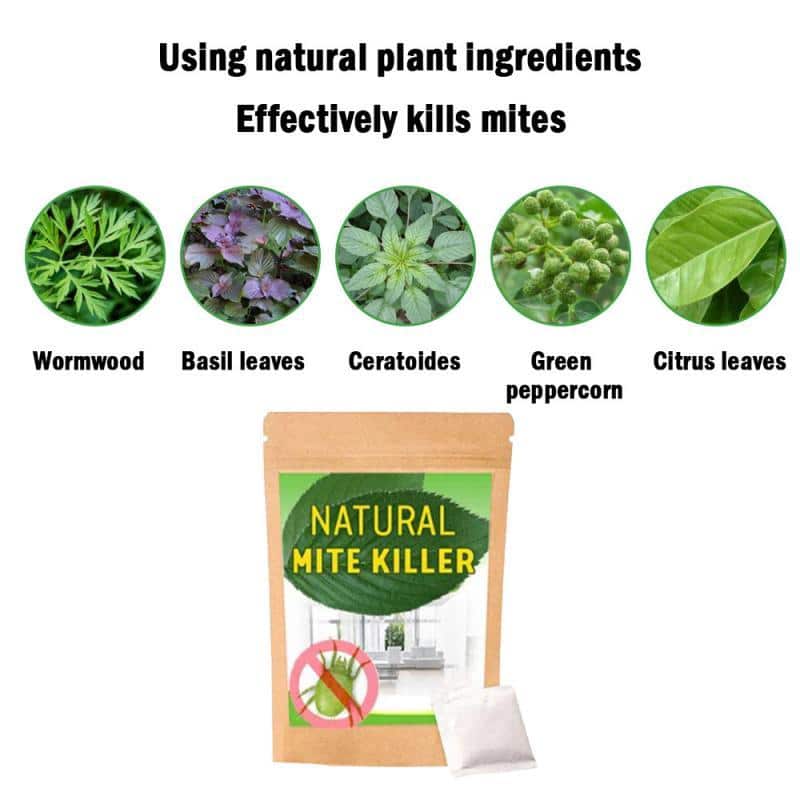 Herbal Dust Mite Natural Treatment