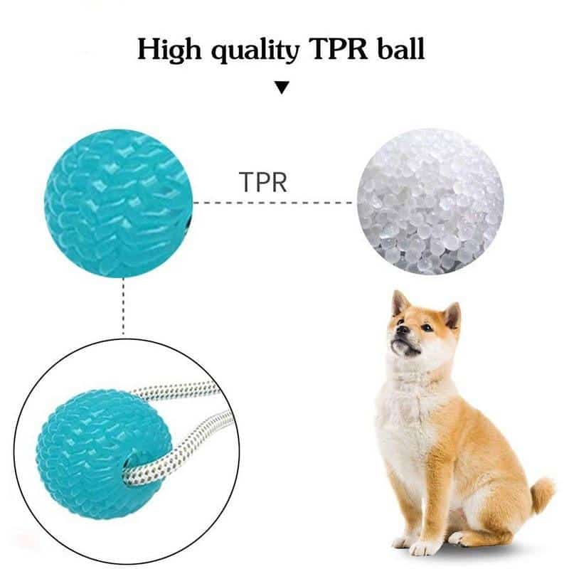 Suction Cup Dog Tug Toy