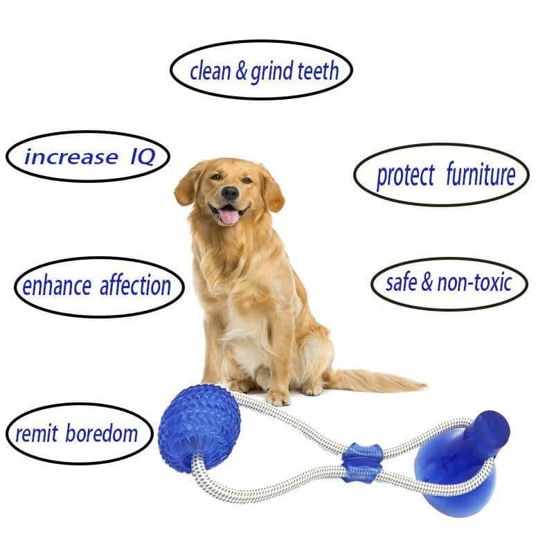 Suction Cup Dog Tug Toy