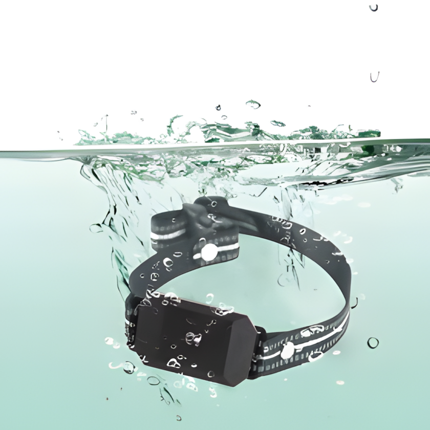 Petlori Calmi Electric anti-bark training collar