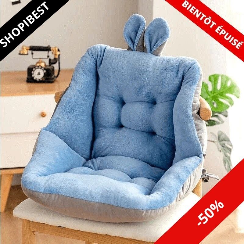 Therapeutic back cushion