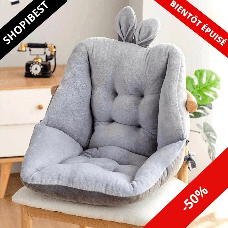 Therapeutic back cushion