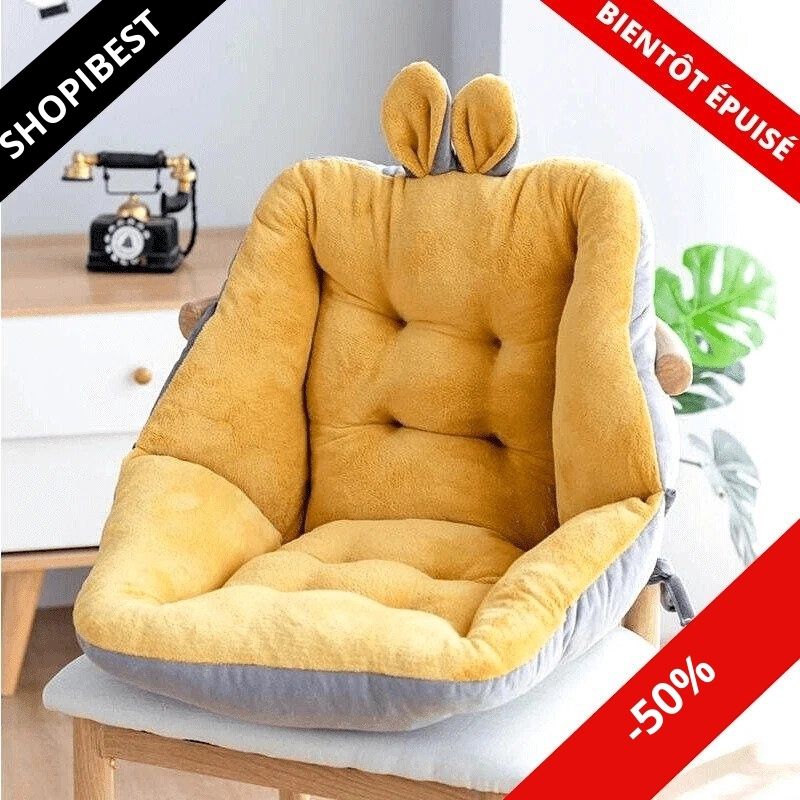 Therapeutic back cushion