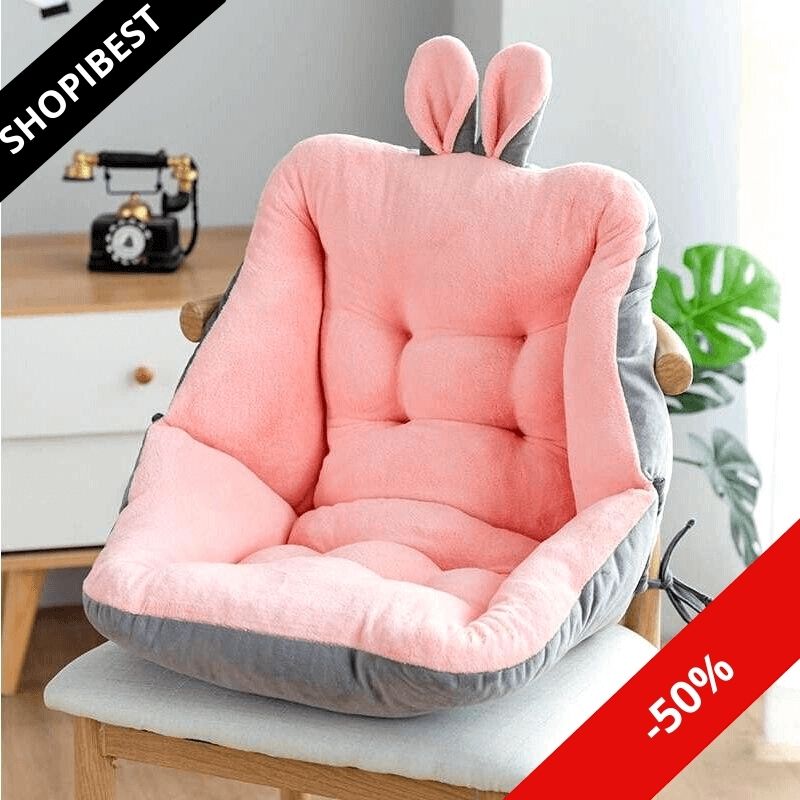 Therapeutic back cushion