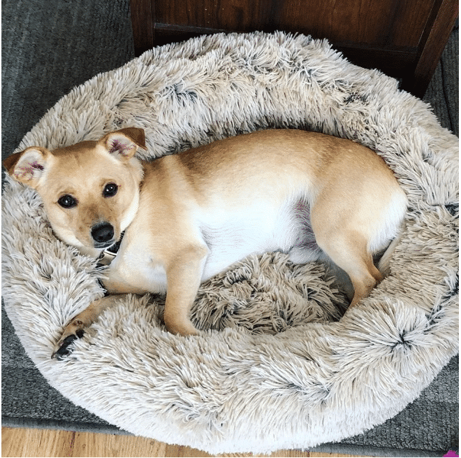 MrFluffyFriend Anxiety Relieving Dog bed