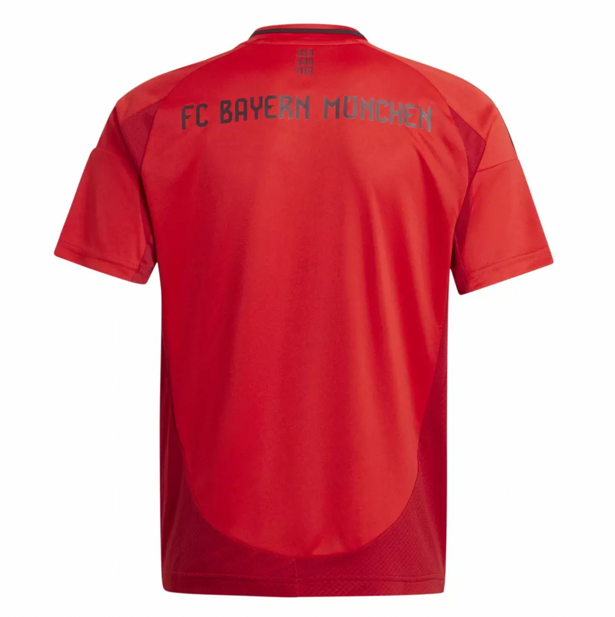 Bayern München-thuistenue 2024/2025