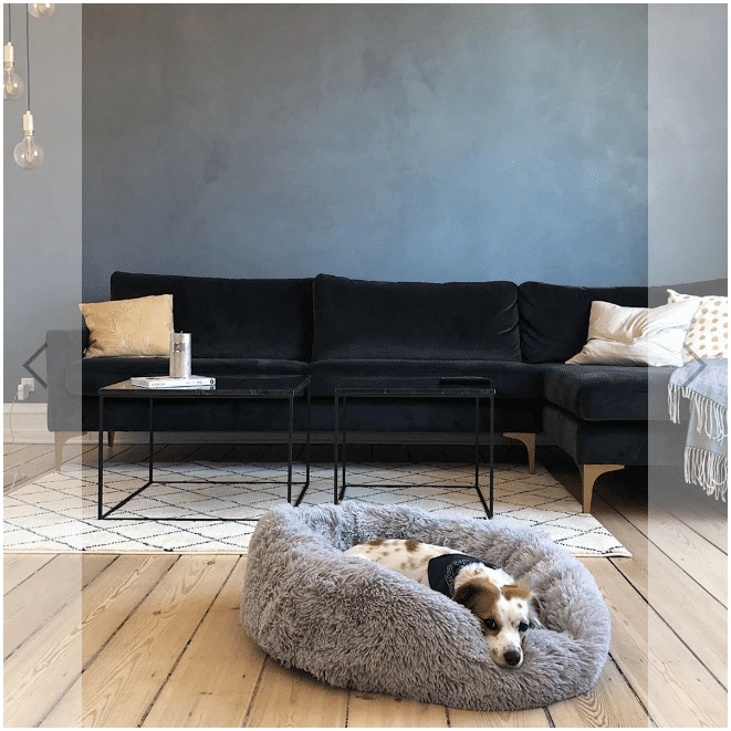 MrFluffyFriend Anxiety Relieving Dog bed