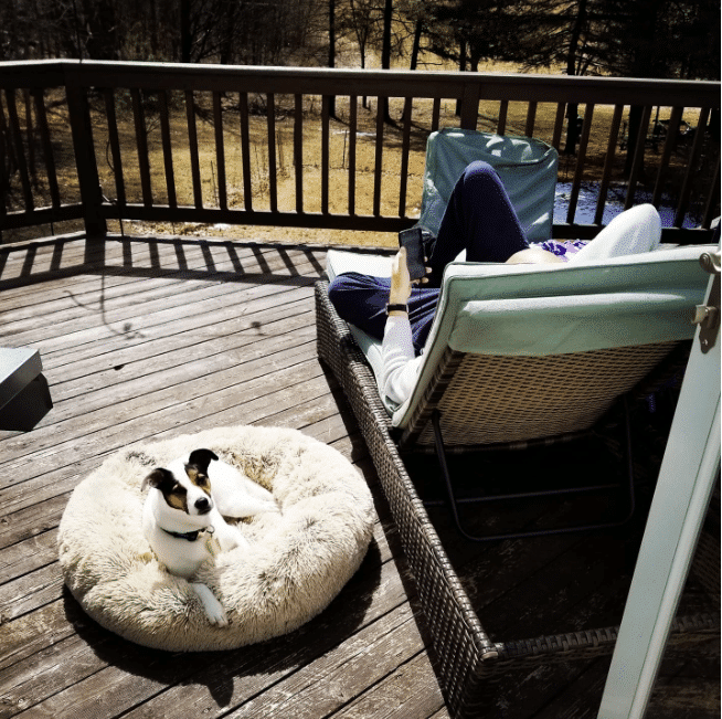 MrFluffyFriend Anxiety Relieving Dog bed