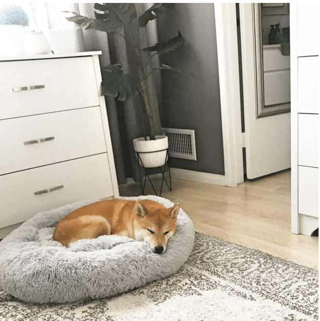 MrFluffyFriend Anxiety Relieving Dog bed