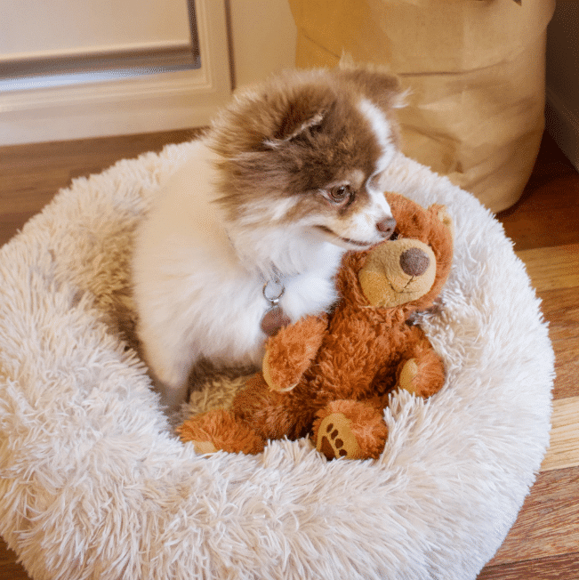 MrFluffyFriend Anxiety Relieving Dog bed