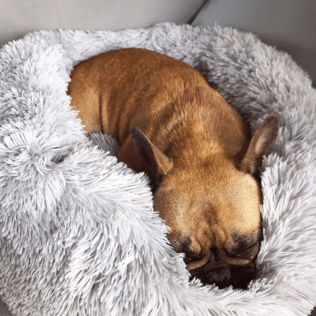 MrFluffyFriend Anxiety Relieving Dog bed