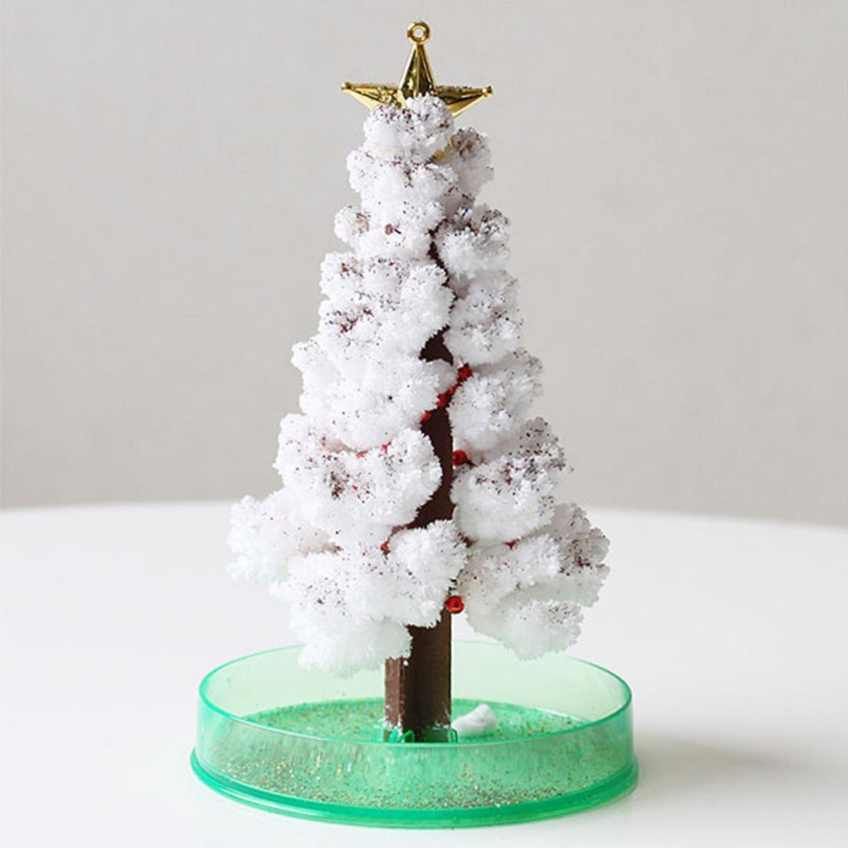 Magic Growing Christmas Tree