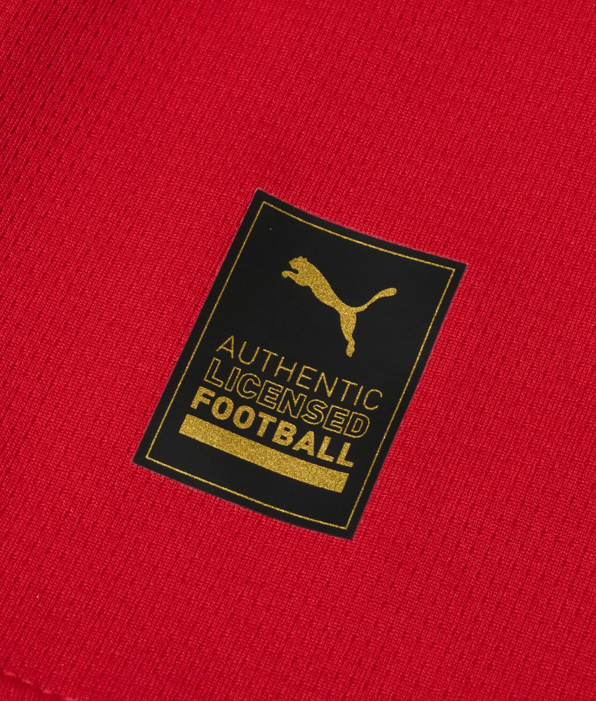 MAGLIA HOME DELL'AC MILAN 2024/25
