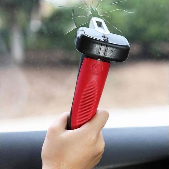 Cane support handle for car
