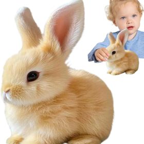 PetsBoro BunnyPal Rabbit Toys Miymo Fanyil