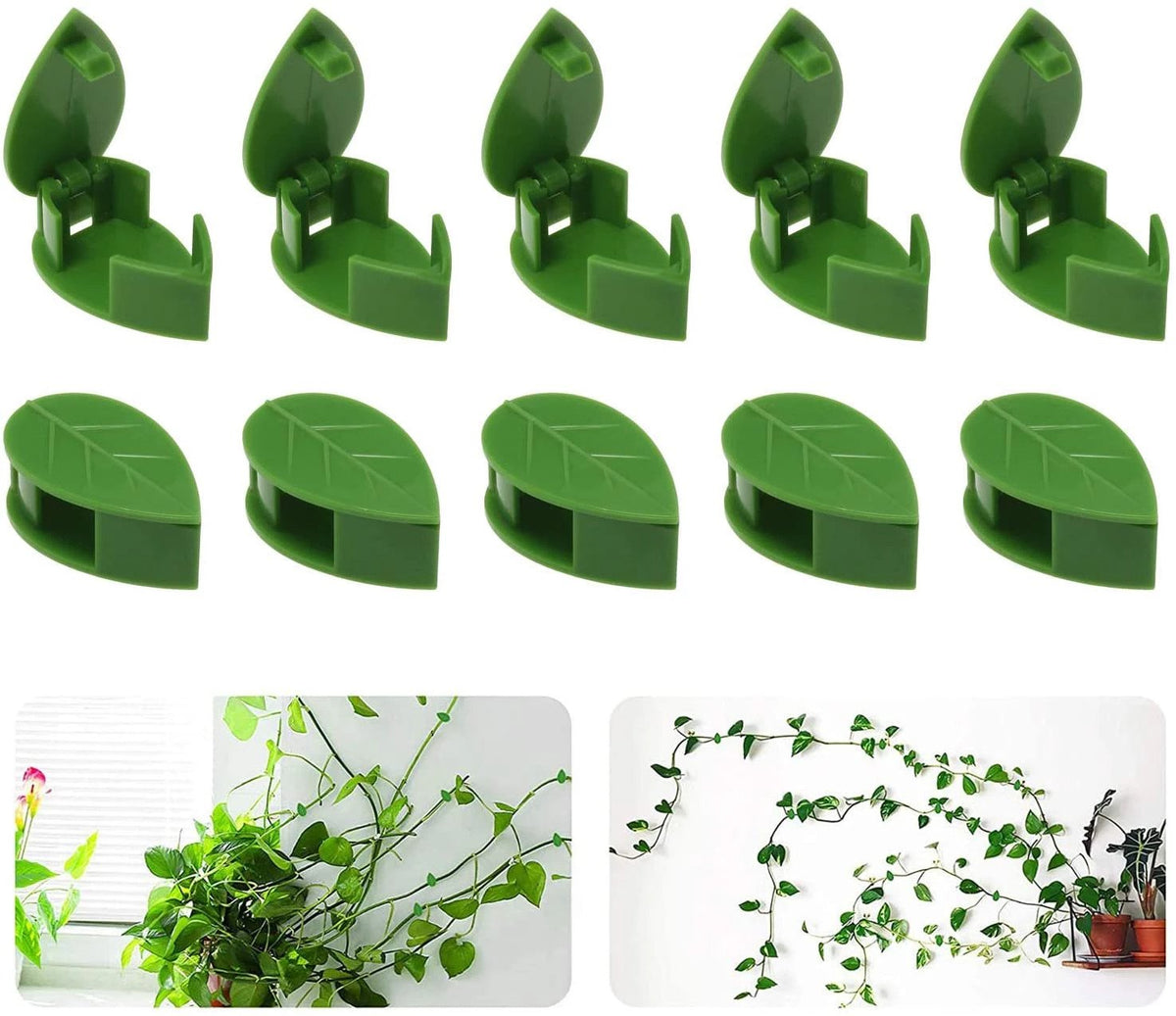 Plant Fixture Clip Fixted Buckle Hook