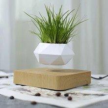 Levitation and magnetic rotation bonsai pot