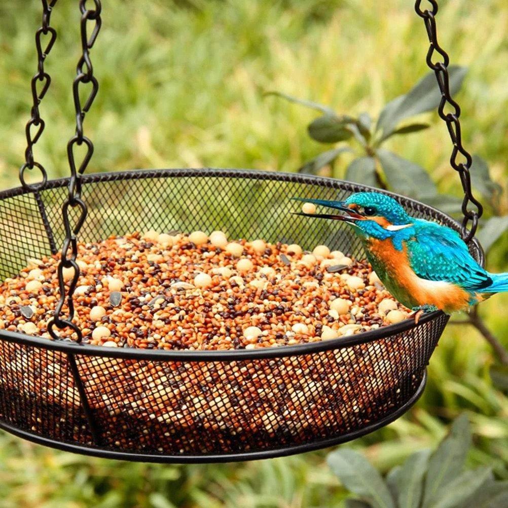 Hanging bird feeder