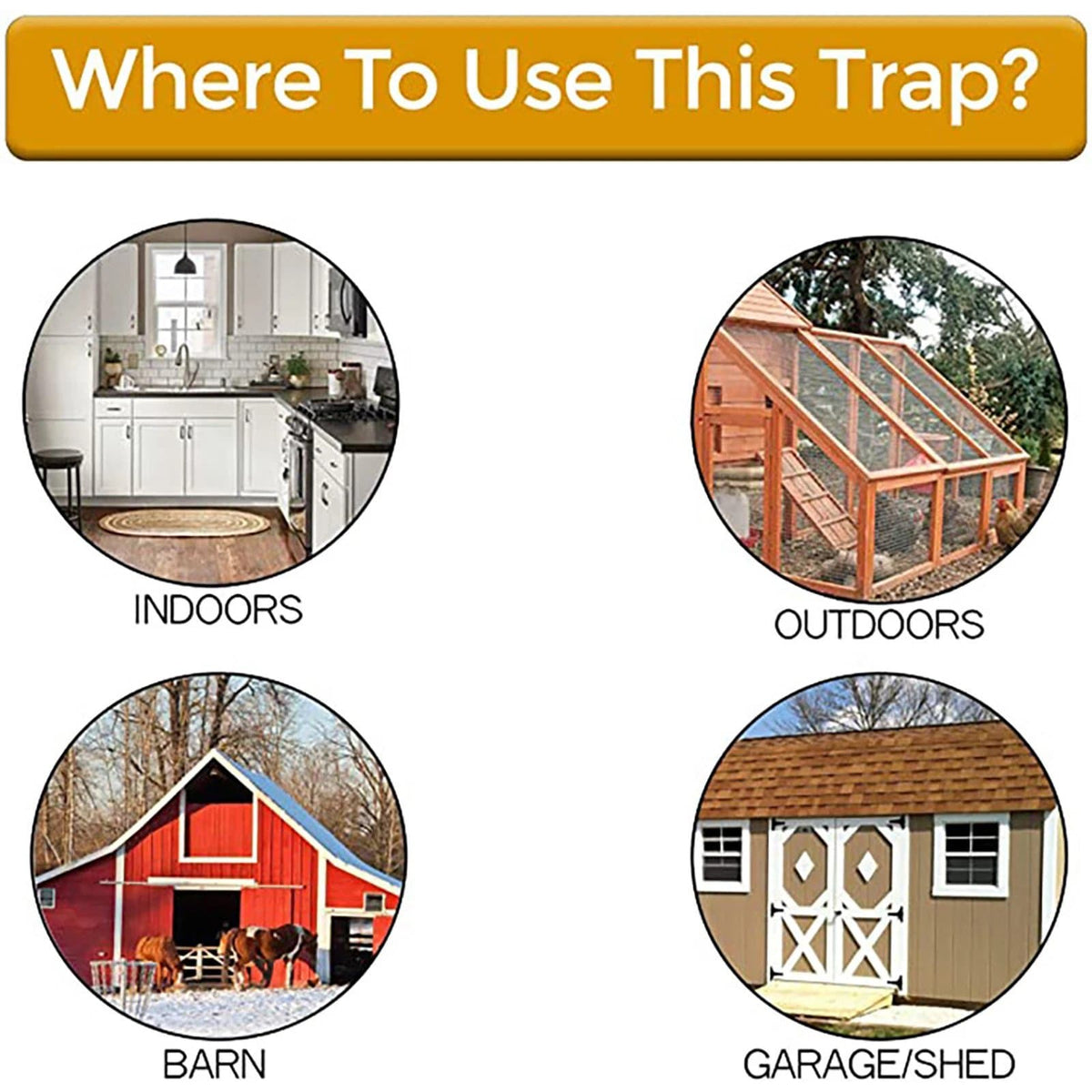 Mouse trap with bucket cover